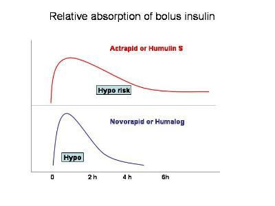 Bolus insulin action profiles